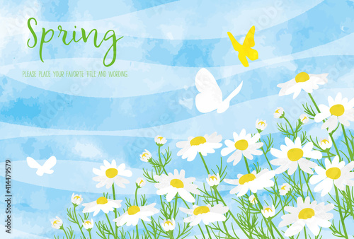 春をイメージしたマーガレットと蝶の背景素材