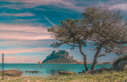 I colori del cielo accompagnati da un vecchio ginepro piegato dal vento fanno da cornice a Tavolara la regina del mare. photo