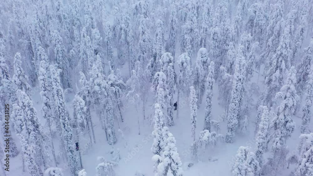 Aerial view of a men snowshoeing in snow covered forests of Finland - Tracking, drone shot Aerial view of a men snowshoeing in snow covered forests of Finland - Tracking, drone shot