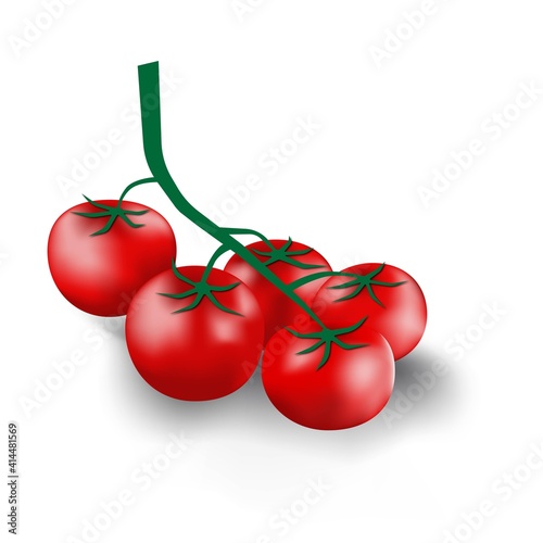 Collection of a branch of fresh red tomato from organic farm.