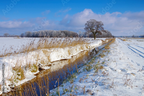 Spreewald im Winter - Spreeforest in cold winter photo