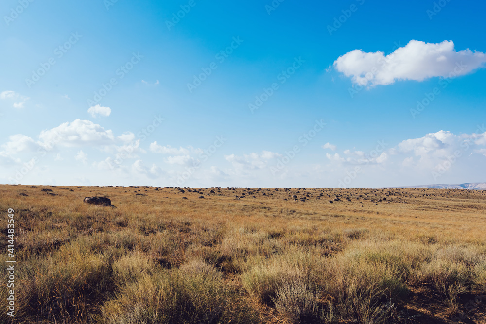 Empty rural landscape with dry grass