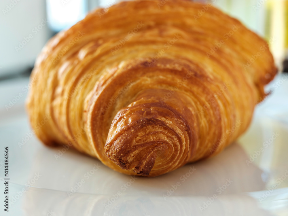 Freshly Baked Croissant on a White Plate, Front View