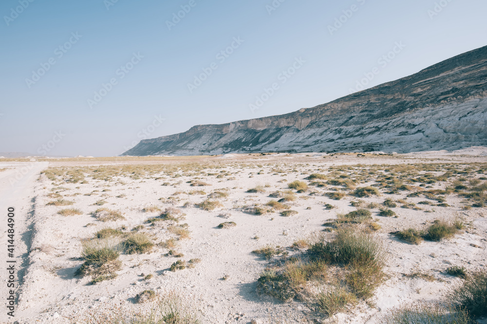Sandy ground with dry grass and mountain in desert