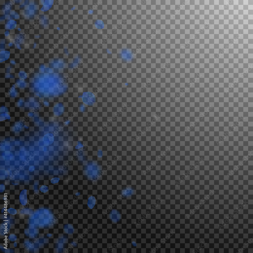 Dark blue flower petals falling down. Amazing roma Dark blue flower petals falling down. Amazing roma