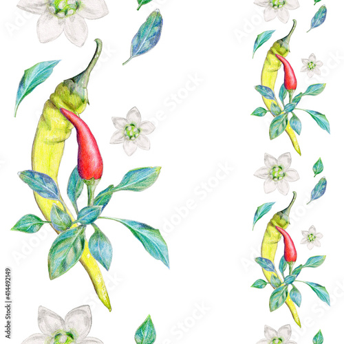 Hand-drawn vertical seamless border with hot chilli and holopeno, with leaves and flowers. Design with watercolor pencils for the kitchen, menu, restaurant, website, scotch tape, fabric, ribbon.