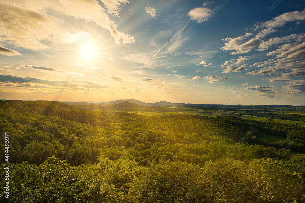 Fototapeta premium Strahlen der Abendsonne über dem Wald
