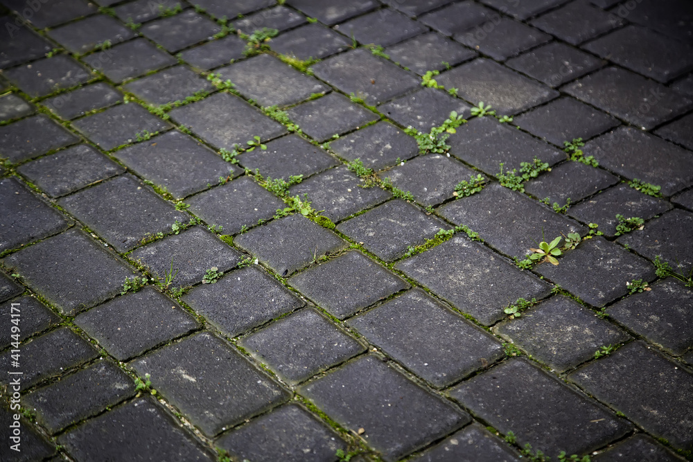 Old cobblestones with moss