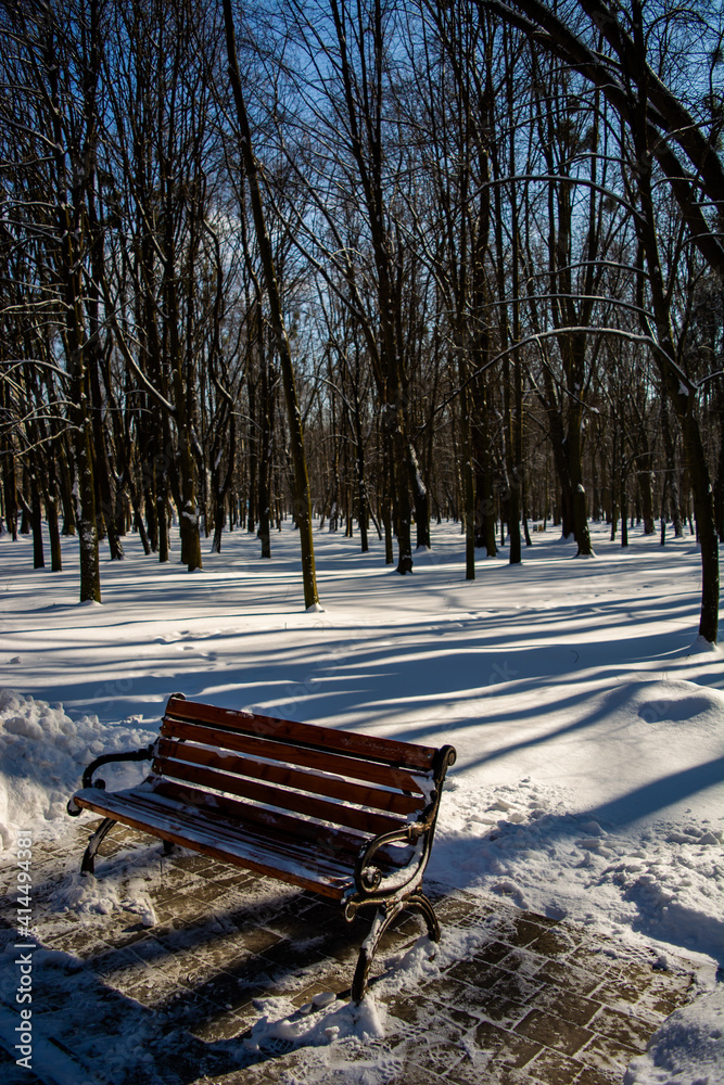 Cozy bench in winter sunny park