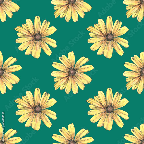 Seamless floral pattern with daisy flowers. Design or wallpaper, textile design, packing, textile, fabric. Chamomile, calendula.