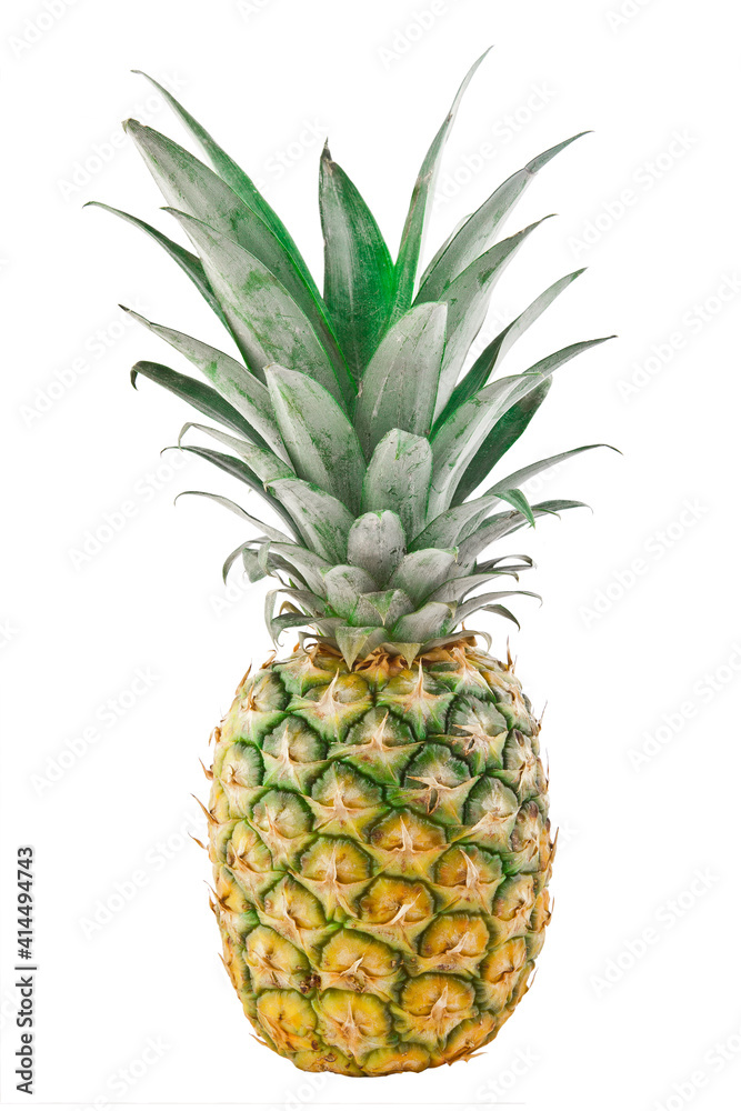 Close-up Pineapple isolated on the white background. Close-up Pineapple isolated on the white background.