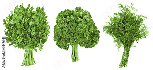 Set of Fennel isolated on the white background