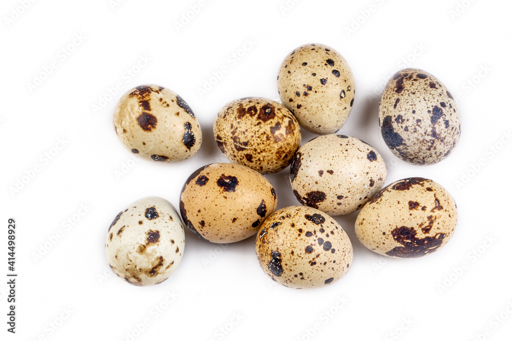 Animal protein quail eggs on a white background