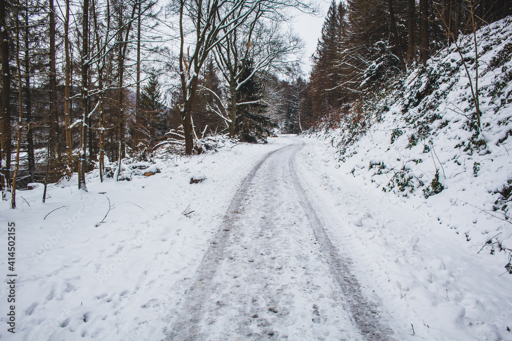 Fototapeta premium Winter in Harz Mountains National Park, Germany. Moody snow covered landscape in German forest