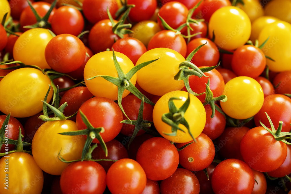  organic tomatoes.