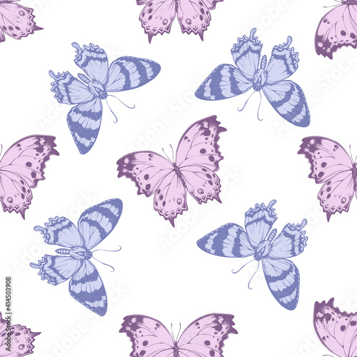 Seamless pattern with hand drawn pastel alcides agathyrsus, forest mother-of-pearl photo