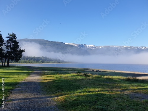Fototapeta Naklejka Na Ścianę i Meble -  landscape with fog