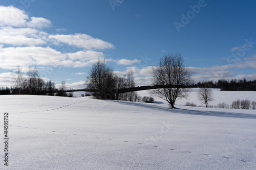 White snowy Latvian landscape in winter where you can see a large field © Rolands