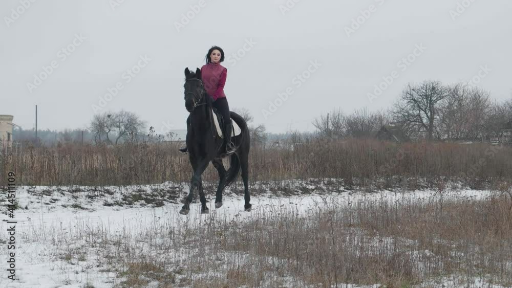 Young brunette woman rides a beautiful black horse on a field or snow-covered farm in winter. Horseback riding, Equestrian sport. Female rider on horse walking in snowy outdoors Young brunette woman rides a beautiful black horse on a field or snow-covered farm in winter. Horseback riding, Equestrian sport. Female rider on horse walking in snowy outdoors