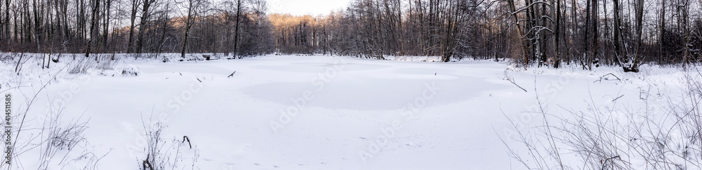 Panorama zugefrorener schneebedeckter Teich im Klosterforst Loccum in der Abendsonne im Februar 2021