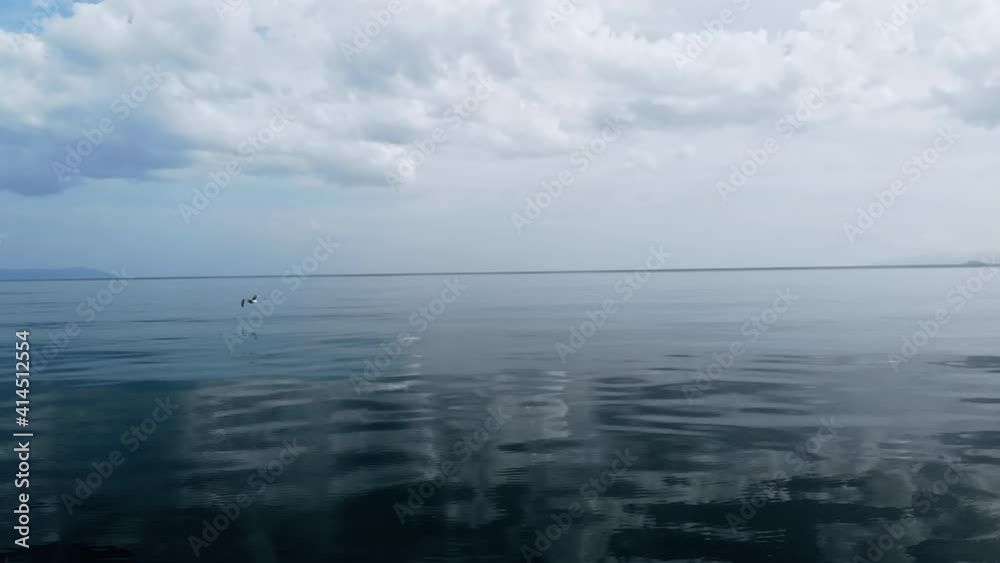 Taking off bird from the surface of the Aegean sea in Greece. Hills in the distance Taking off bird from the surface of the Aegean sea in Greece. Hills in the distance