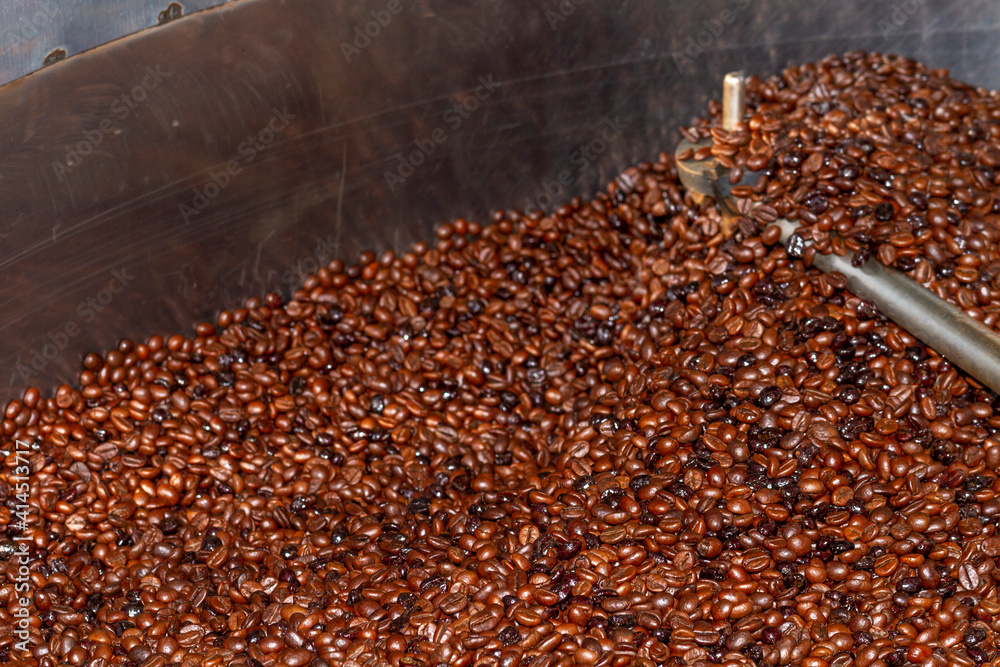 Coffee beans of the Robusta variety of natural roast and Coffee beans of the Robusta variety of natural roast and