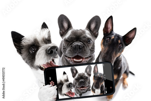 group of dogs taking selfie with smartphone © Javier brosch