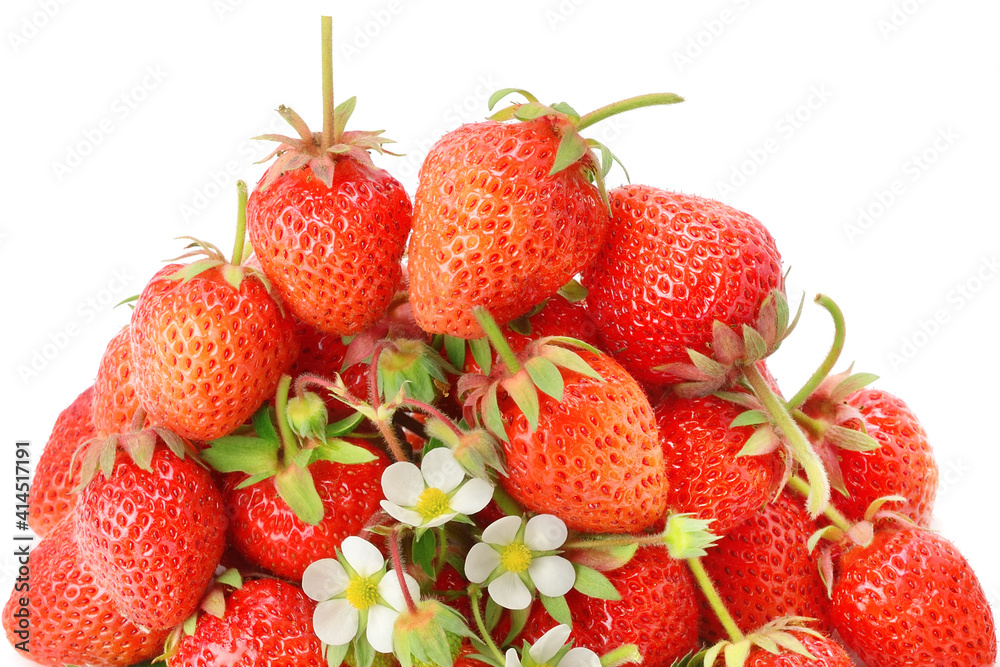 Strawberries with strawberry leaf isolated on white . Strawberries with strawberry leaf isolated on white .