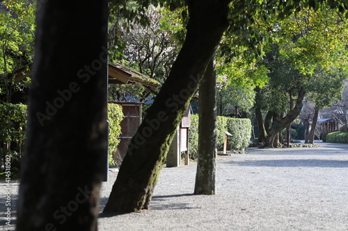 庭園2021021512
