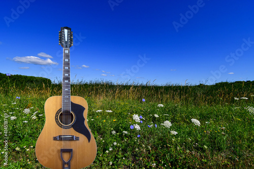 12 string guitar in a countryside environment