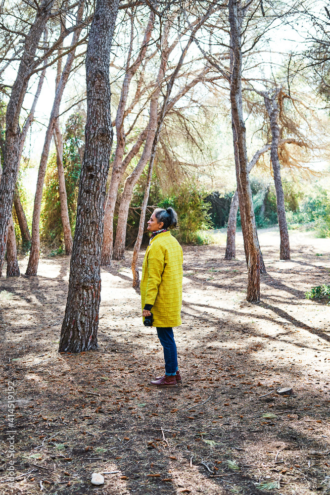 Vertical photo of the a Woman looks up to take photos with analog reflex camera in forest Vertical photo of the a Woman looks up to take photos with analog reflex camera in forest