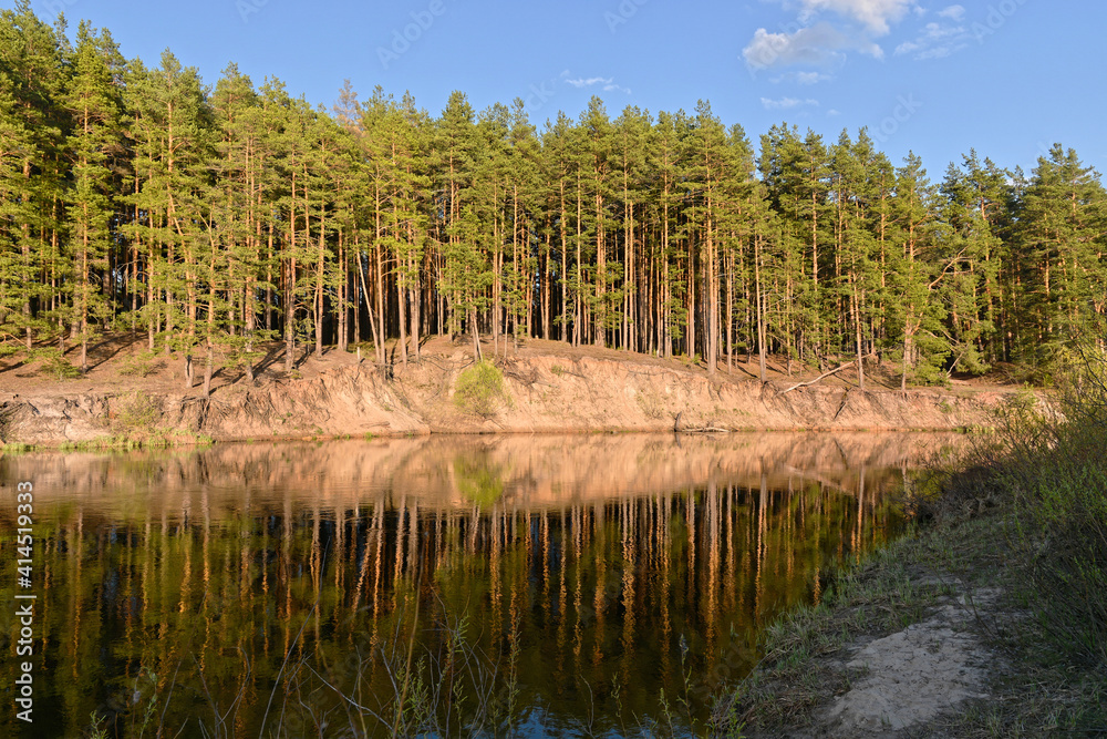 Obraz premium Spring on the forest river.