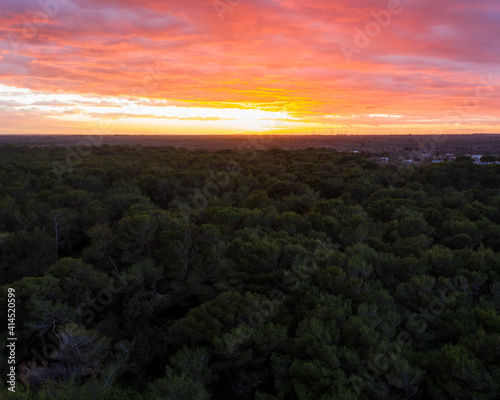 Large sunset