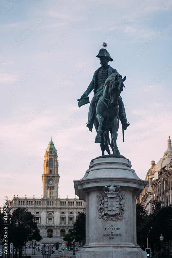 Fototapeta premium statue of monarch
