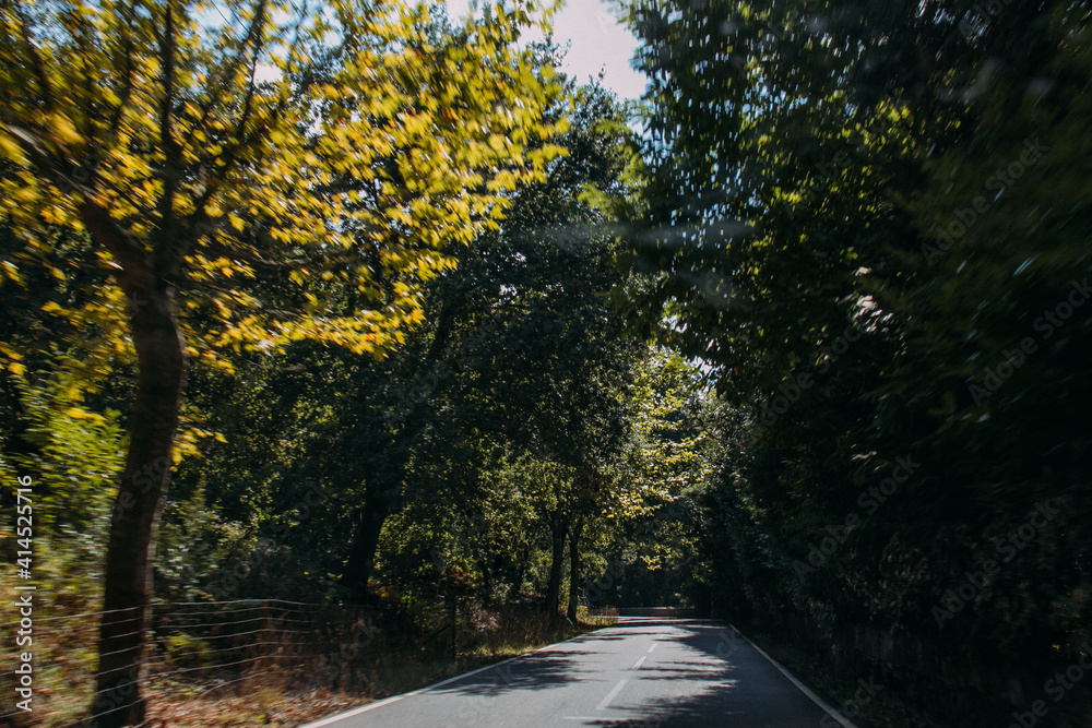 Obraz premium road in autumn