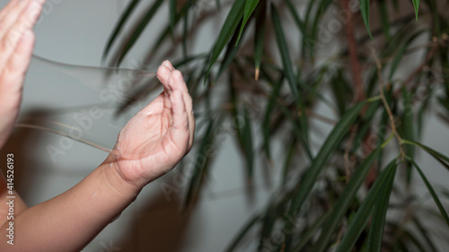 Close up view of child hands playing with bubbles. Green plant and white wall on background.