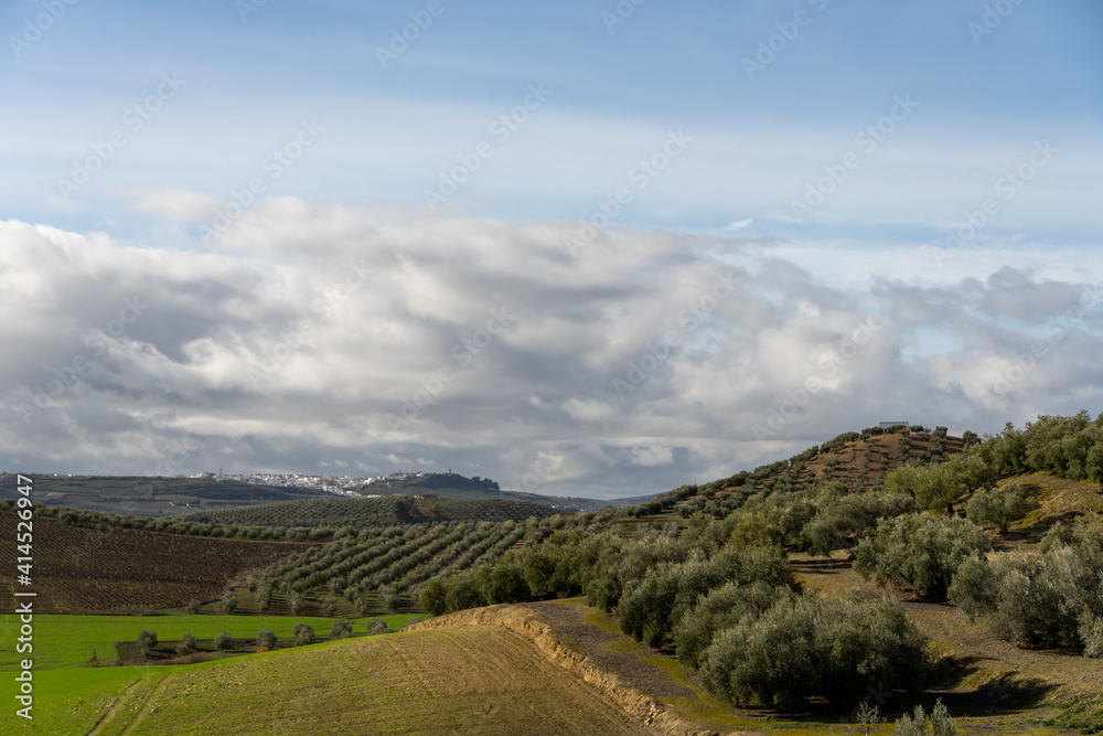 Fototapeta premium Stock photo of beautiful landscape and rural village in the south of Spain. Aguilar de la Frontera, Cordoba, Spain.