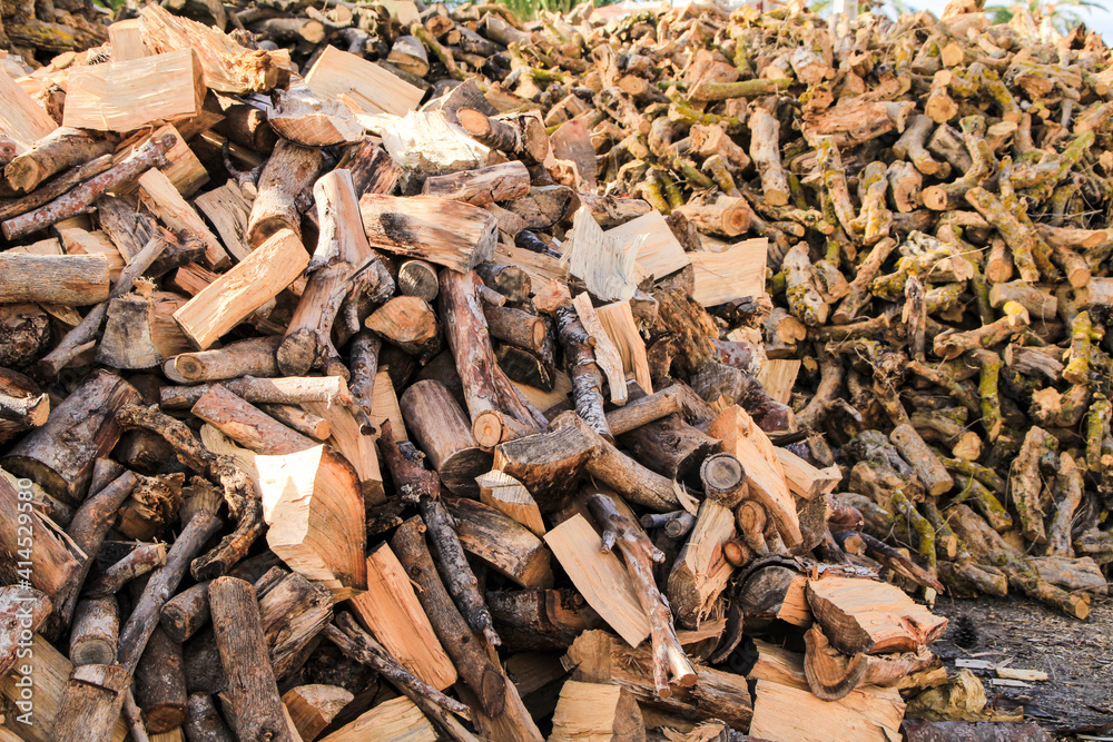 Stacked tree wood logs for sale Stacked tree wood logs for sale