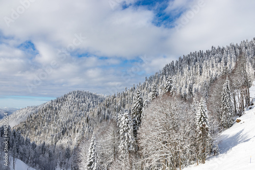 Beautiful snow landscape of snowy trees and ski slope of Roza Khutor ski resort. South part of mountains. Sochi, Russia.