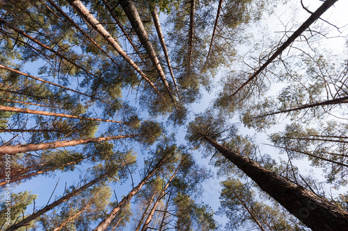 autumn nature and its influence on nature