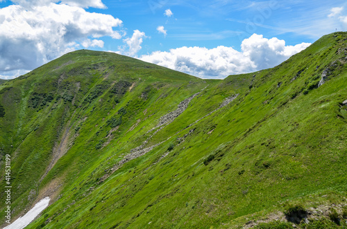Green mountain landscape with highest ridge of Ukrainian Carpathians, Chornohora at sunny summer day