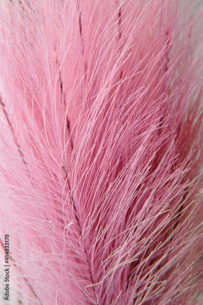 Closeup pink spikelets. Abstract natural background pattern for design. Closeup pink spikelets. Abstract natural background pattern for design.