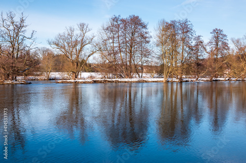 Baumreihe im Winter reflektiert in der Wasseroberfläche