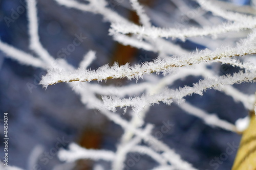 Äste mit Schneekristalle vor unscharfer Winterlandschaft Makro © Daniel