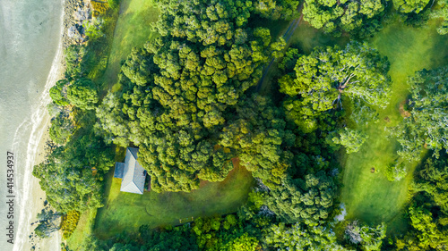 Aerial view of the forest on a shore of a beautiful harbor. Auckland, New Zealand.
