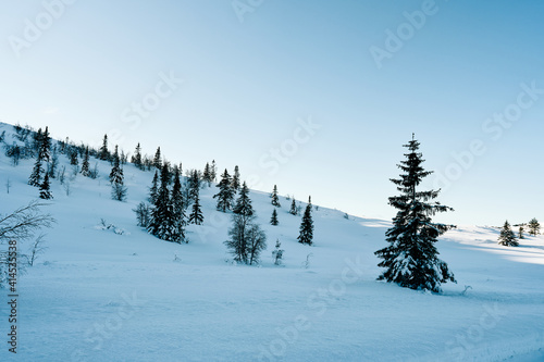Winter landscape. Sun, snow and clear cold weather.