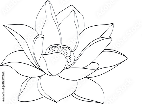 lotus