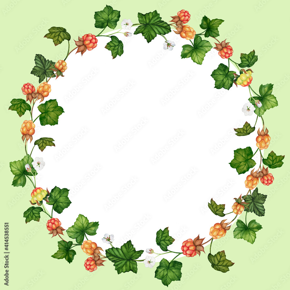 Circle frame of cloudberry with leaves and flowers watercolor painting Circle frame of cloudberry with leaves and flowers watercolor painting
