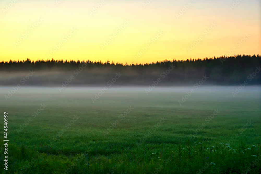 Finlandia, Jyvaskyla, sunset over a forest