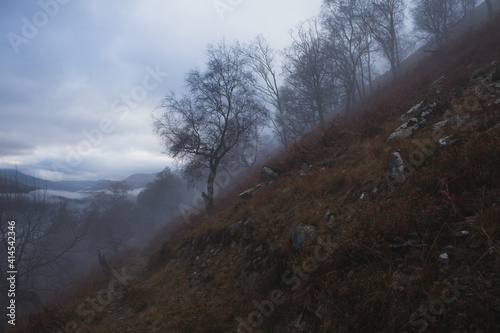 Las we mgle z gorami w tle Glen Lyon Scotland